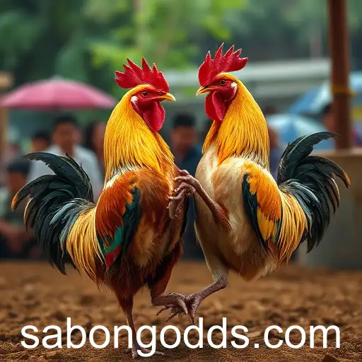 The Rise of Sabong in Online Gaming